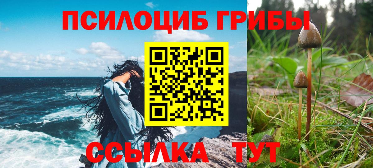 Бирск  Псилоцибиновые грибы Psilocybe  Галлюциногенные грибы Cubensis  Вход с VPN 